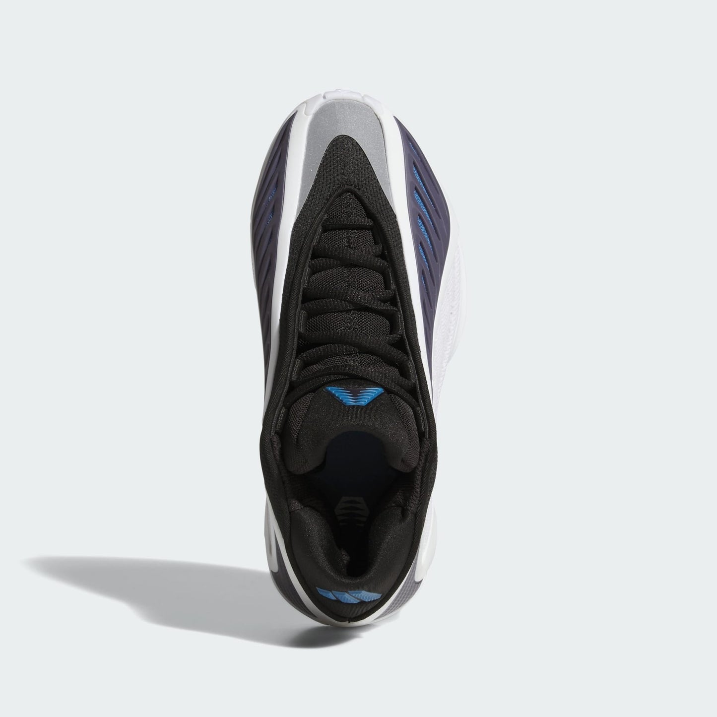 Kid's Anthony Edwards 2 Low "Alphadawg" Grade School