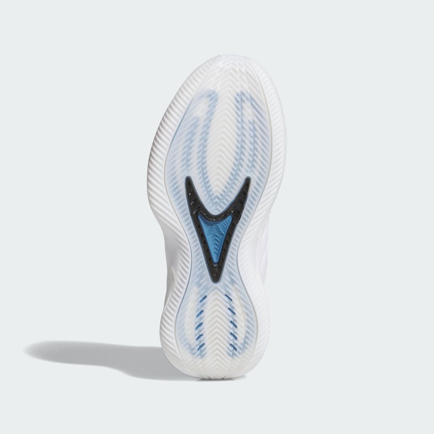 Kid's Anthony Edwards 2 Low "Alphadawg" Grade School