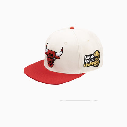 Chicago Bulls Retro Classic Primary Logo NBA Wool Snapback Hat