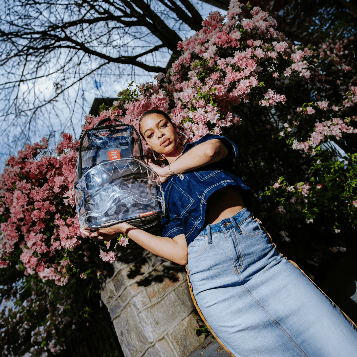 Clear As Night - Clear DLX Backpack