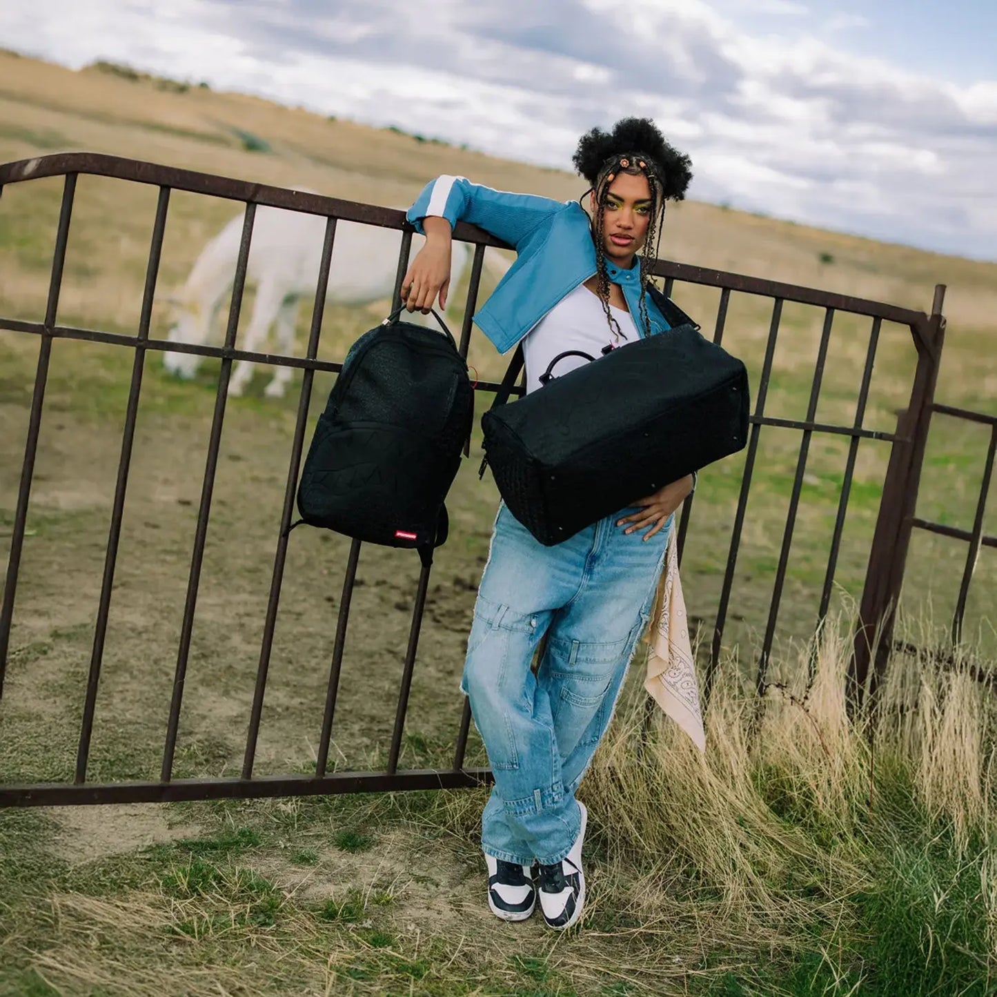 Hyperdimensional Backpack