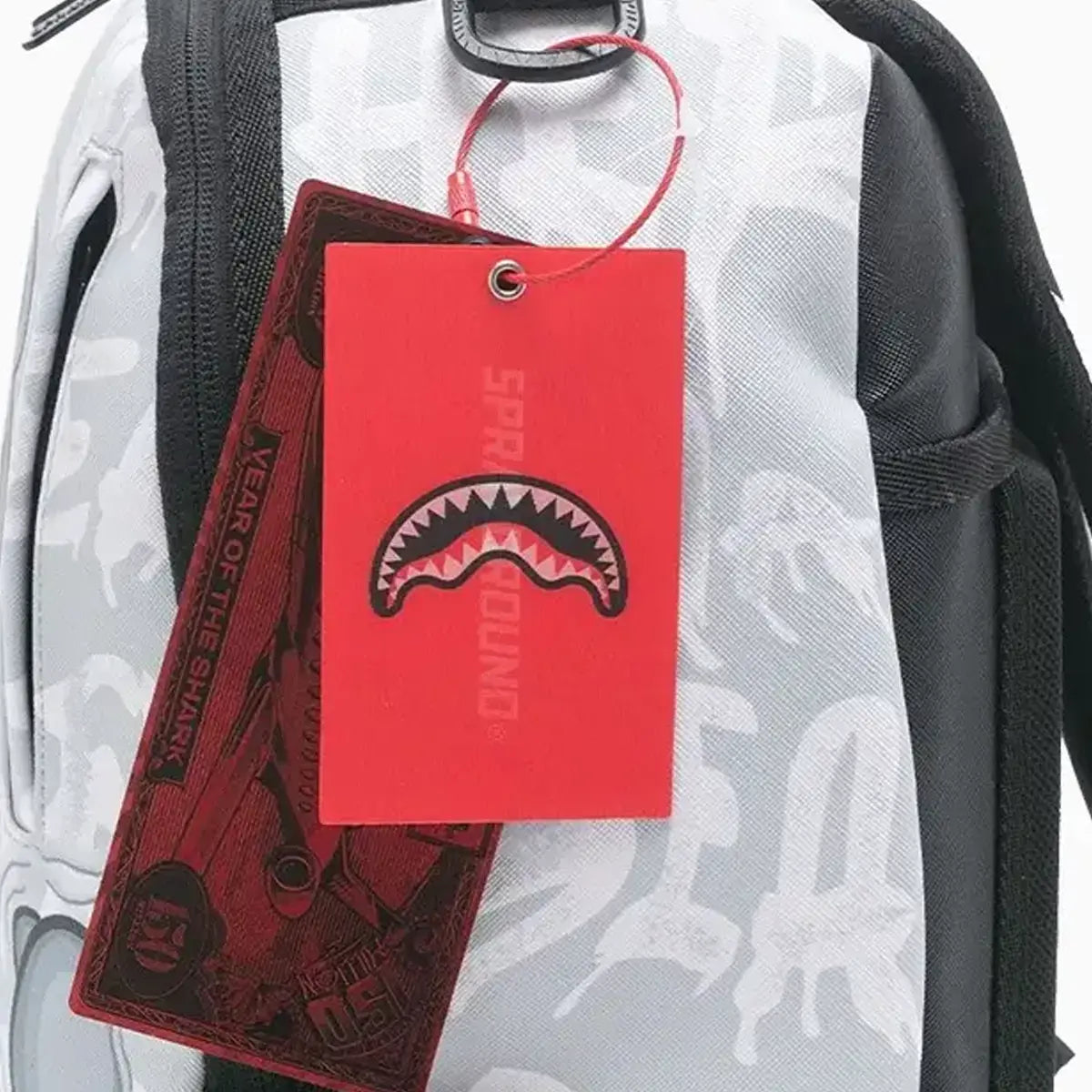 Money Bear Graffiti Float Backpack