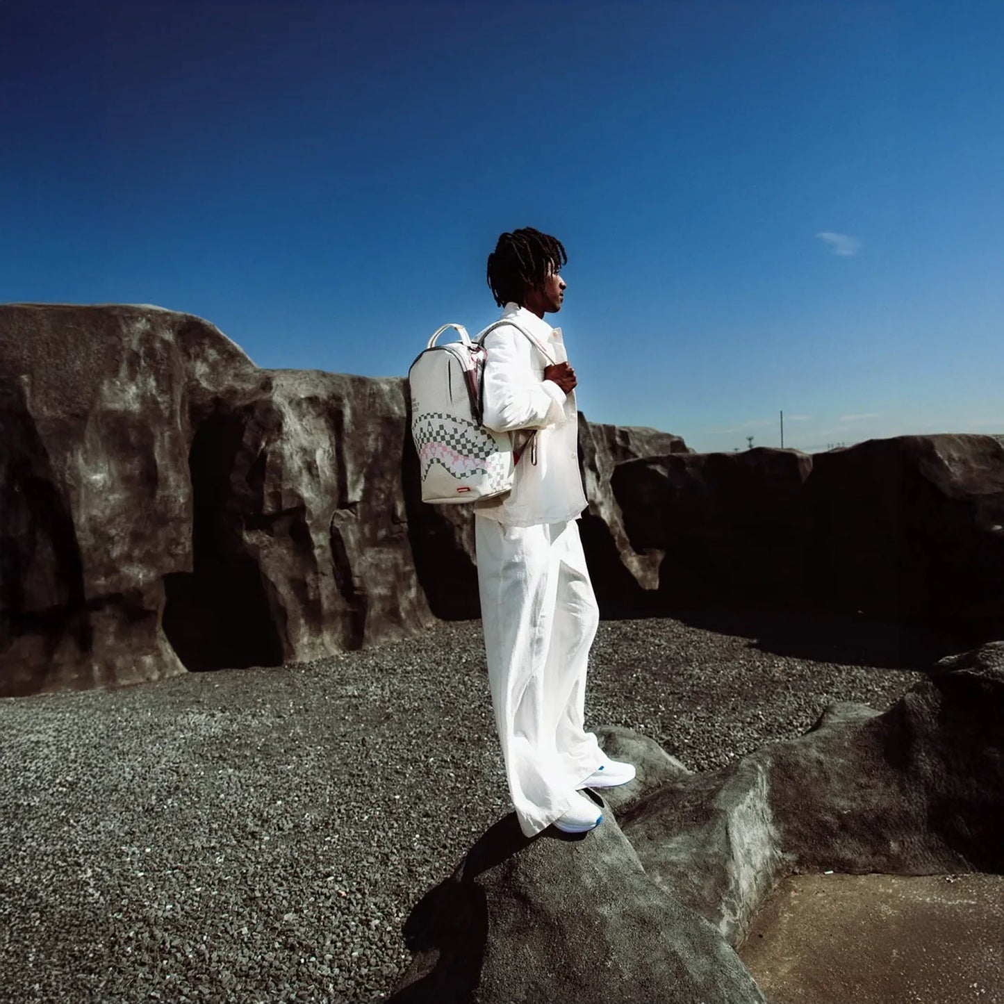 Shark Central Dynamic Backpack