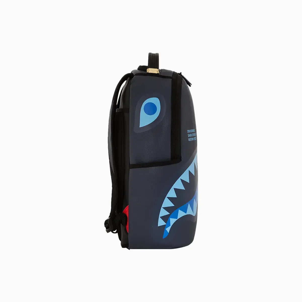 Shark Central Midnight Blue Dlxsv